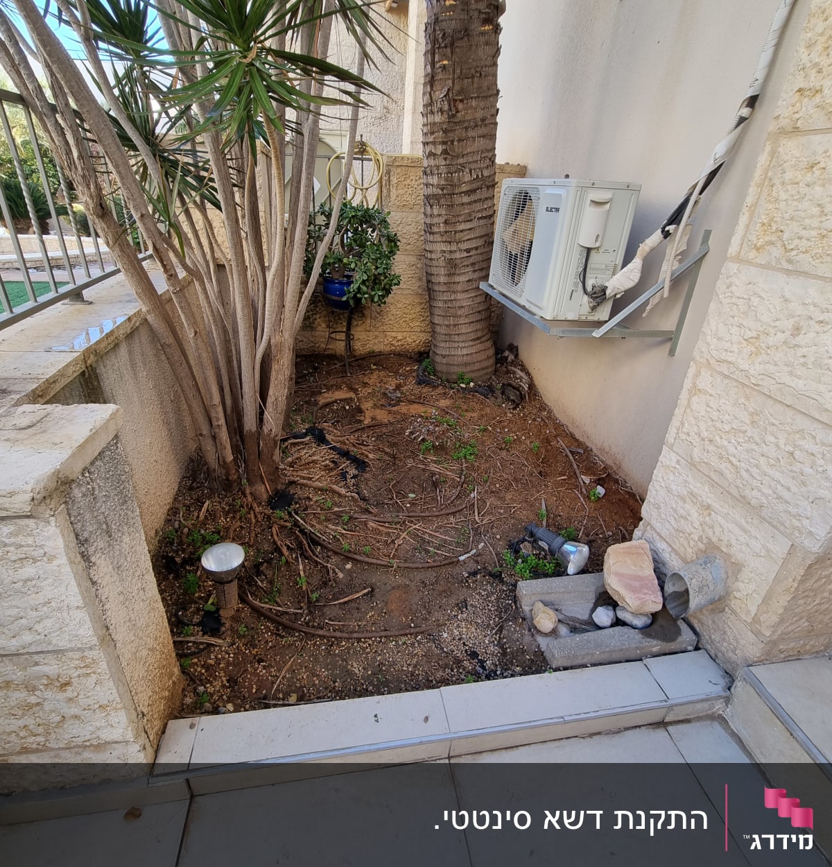 אדמה עם צמחים, עצים וכלי גינון קטנים